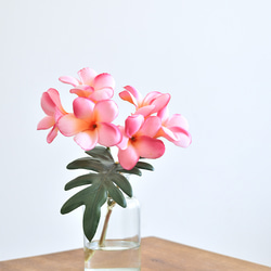 再販 人気 青りんご メモスタンド▫️フェイクグリーン・フェイク多肉植物 アレンジ 再販 人気 青りんご メモスタンド▫️フェイクグリーン・フェイク多肉