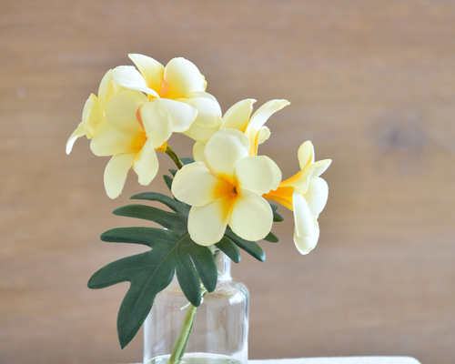 アロマストーン 真ん中黄色のプルメリア アロマストーン 真ん中黄色の