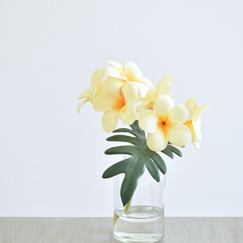 咲き続けるプルメリア(イエロー) マジカルウォーター 癒しのトロピカル