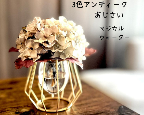 2e9a8f9a30a778b3579dade4348111