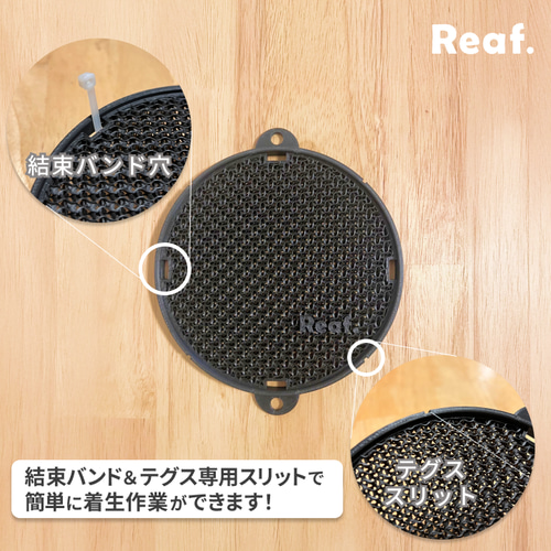 着生板　【MARU.200&MARU.160】黒　ビカクシダ　壁掛け　板付 2枚セット着生板 【MARU.160】黒 ビカクシダ 壁掛け 板付 - メルカリ