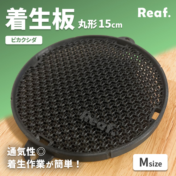 着生板　【MARU.200&MARU.160】黒　ビカクシダ　壁掛け　板付 3枚セット着生板 【MARU.200】黒 ビカクシダ 壁掛け 板付 - メルカリ
