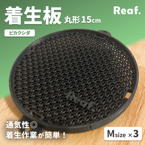 通気性◎】ビカクシダ 着生板 黒 板付け パネル 株分け 3枚