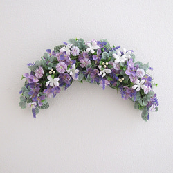 ネイティブフラワー：ドライアンドラ フォルモーサのリース リース