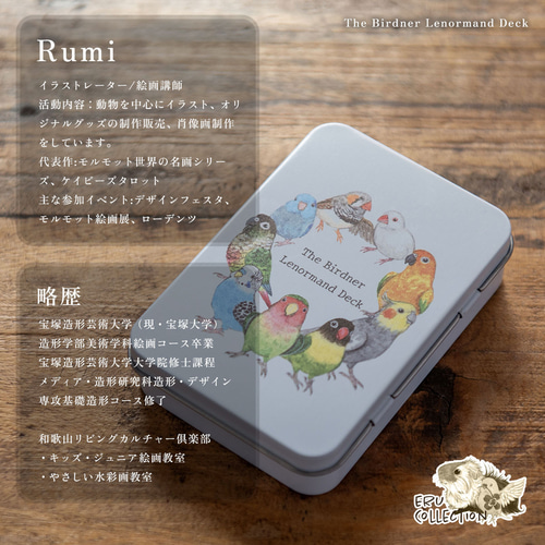 ✨香港からお取り寄せ✨かわいすぎるドリーミーなゆめかわデザインのルノルマンカード ルノルマンカード】可愛い鳥たちのThe Birdner Lenormand Deck