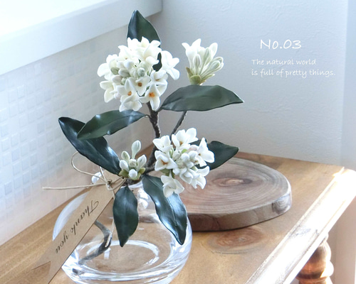 300ea6fb9d021f14f15f5941ca0ff9