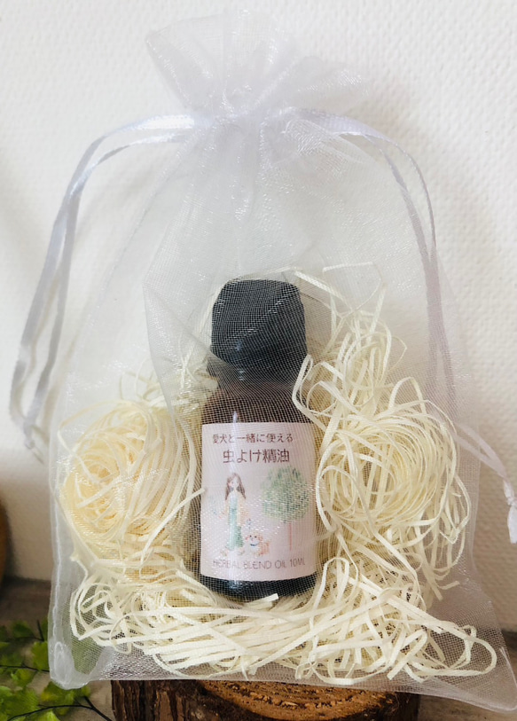 第2張的照片