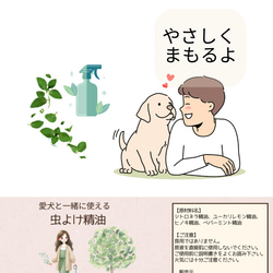  第4張的照片