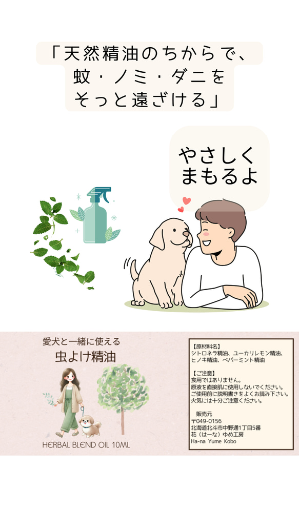  第4張的照片