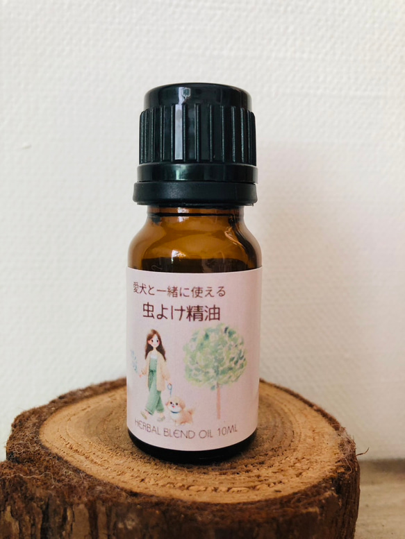  第1張的照片