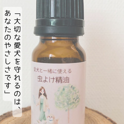  第3張的照片