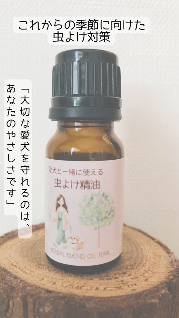  第3張的照片