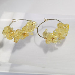 「陽だまりを耳元に 」天然シトリン　ピアス　 4枚目の画像