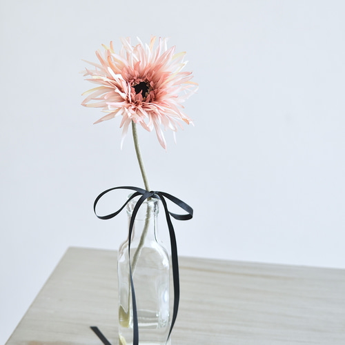 咲き続けるガーベラ(アンティークピンク)マジカルウォーター 癒しの