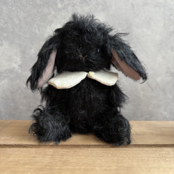 プードル好きさんのためのアンティークレースを纏ったテディ