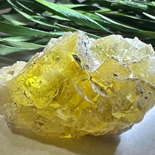 フローライト/蛍光原石