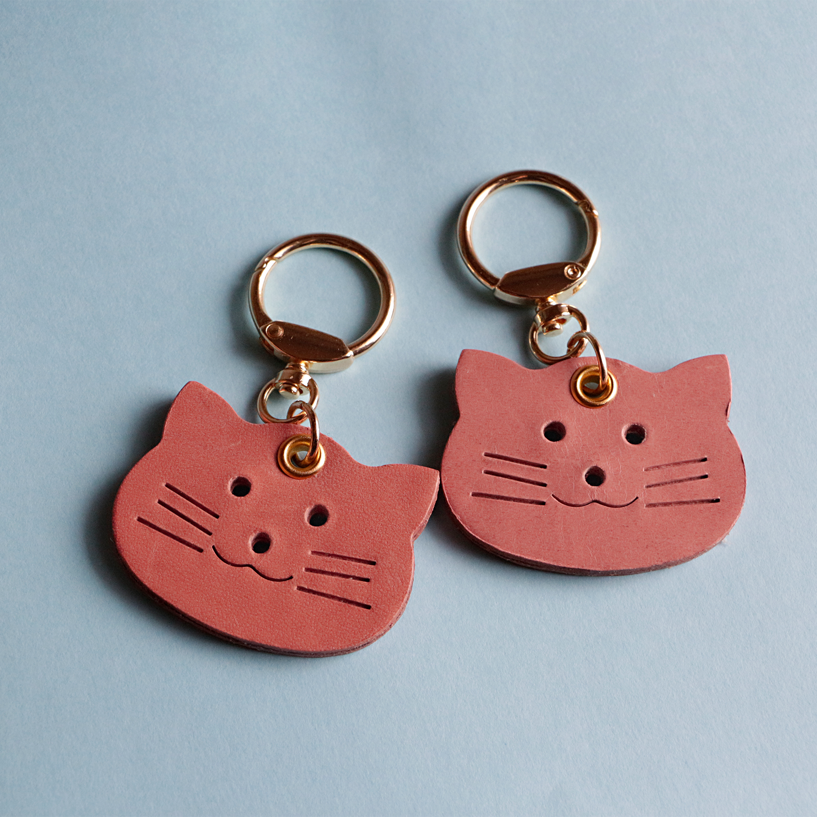 萌え小物 猫チャーム にゃんこ女子力アップ ネコちゃんキーホルダー 本