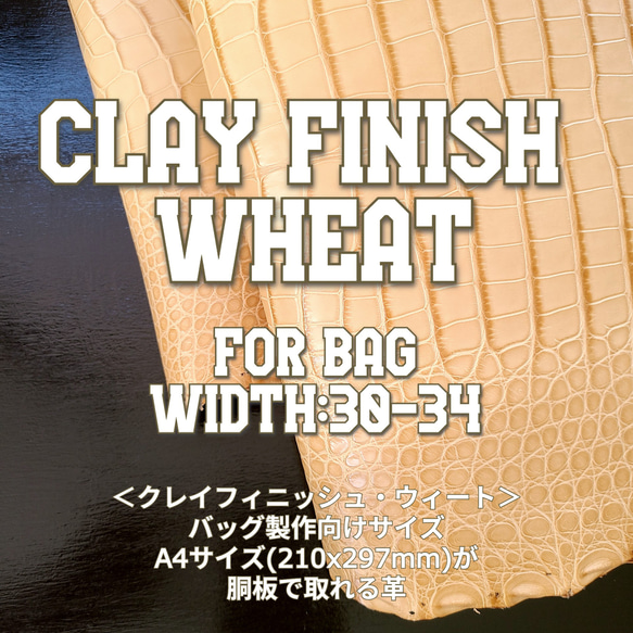 ワニ革  クレイ仕上げ  ウィート「バッグ製作向け・幅30/34cm」サイズ No.CM0202 1枚目の画像