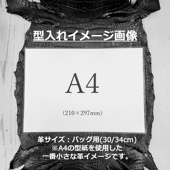 ワニ革  クレイ仕上げ  ウィート「バッグ製作向け・幅30/34cm」サイズ No.CM0202 8枚目の画像