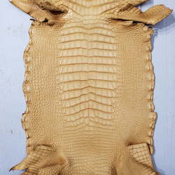 ワニ革  クレイ仕上げ  ウィート「バッグ製作向け・幅30/34cm」サイズ No.CM0202 4枚目の画像