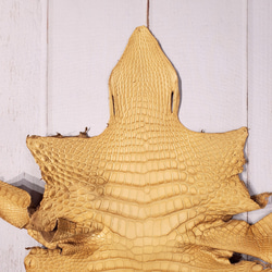 ワニ革  クレイ仕上げ  ウィート「バッグ製作向け・幅30/34cm」サイズ No.CM0202 3枚目の画像