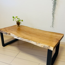 スツール 栃の木 レジン チェア 観葉植物 椅子（チェアー）・スツール