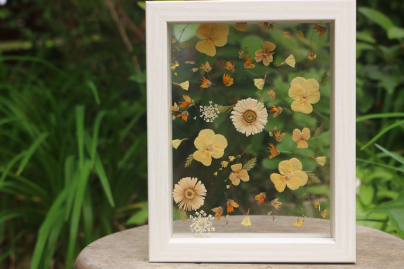 押し花フレーム【Yellow】 ドライフラワー atelier ruban 通販
