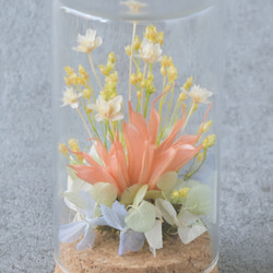 ガラスドームの中の小さな花景色 ～プリザーブドフラワーのテラリウム～ 3枚目の画像