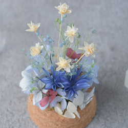 ガラスドームの中の小さな花景色 ～プリザーブドフラワーのテラリウム～ 6枚目の画像