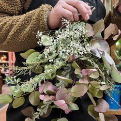 4.ポポラスフェアリースワッグ ALLFresh】ポポラスのスワッグ スワッグ M_seikaten 通販 19322457