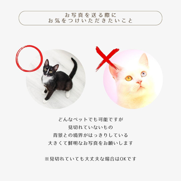  第14張的照片