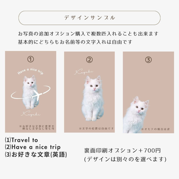  第10張的照片