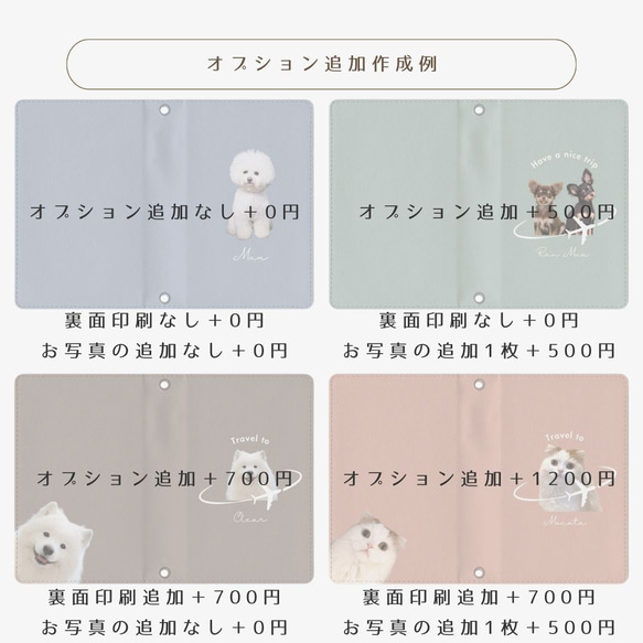 第12張的照片
