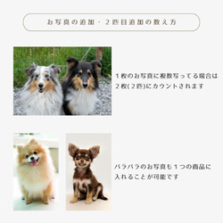  第13張的照片