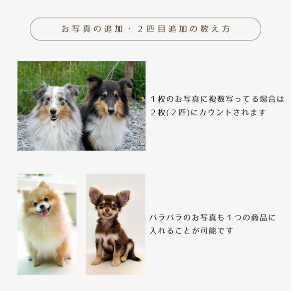  第13張的照片