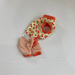 オレンジチェリーの犬の服