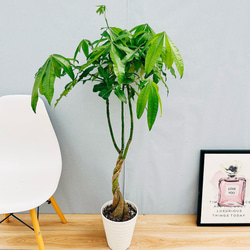 720467fd170e5d5cc98fc5b3f1da51