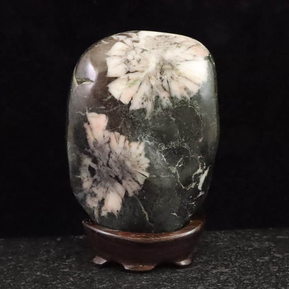 岐阜県根尾谷産の菊花石 岐阜県根尾谷産 菊花石 312.5g #65452 天然石 榎本通商 通販 19324220