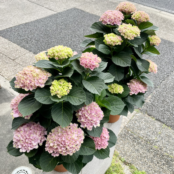  第10張的照片