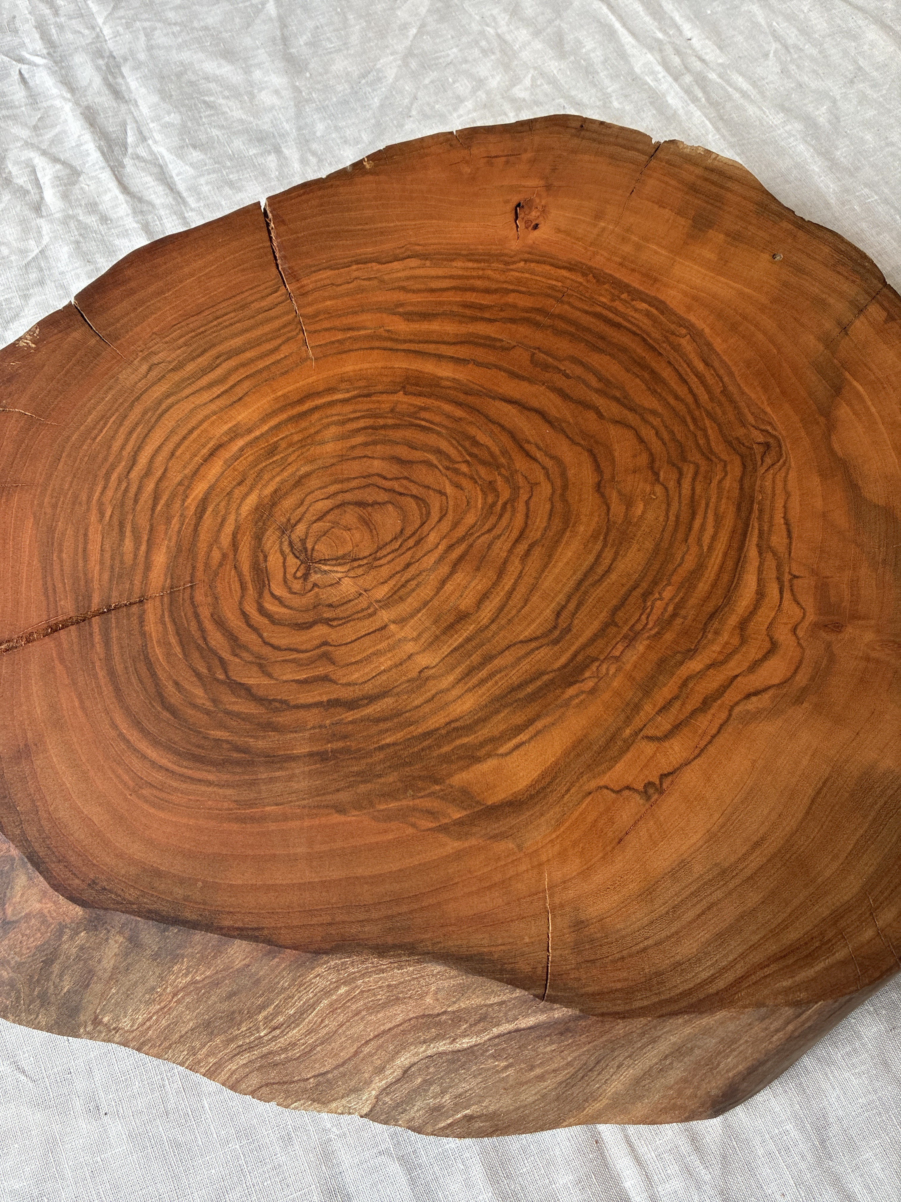 在庫sale!桜の輪切り（オスモカラークリア仕上げ）