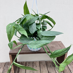 f8deacb881b02758e623466a23c20d