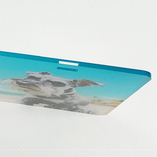 夏限定！青い海のペットカートネームプレート ＋500円で多頭OK 犬