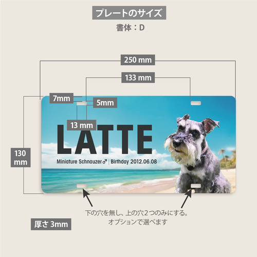 夏限定！青い海のペットカートネームプレート ＋500円で多頭OK 犬