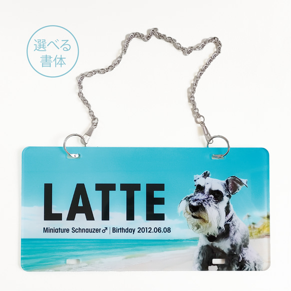 夏限定！青い海のペットカートネームプレート ＋500円で多頭OK 犬