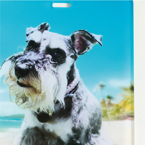 夏限定！青い海のペットカートネームプレート ＋500円で多頭OK 犬