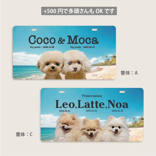 夏限定！青い海のペットカートネームプレート ＋500円で多頭OK 犬