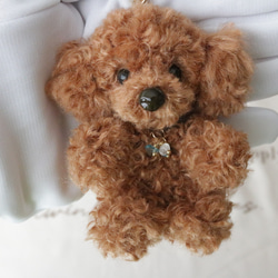 受注生産∗ 羊毛フェルト∗うちの子オーダー∗犬∗プレゼント