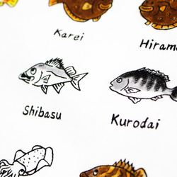 釣りバカ図鑑　メンズタイプ 12枚目の画像