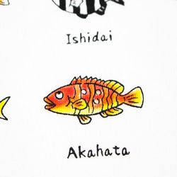 釣りバカ図鑑　メンズタイプ 8枚目の画像