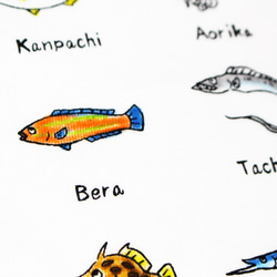 釣りバカ図鑑　メンズタイプ 13枚目の画像